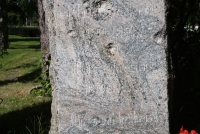 2011 444.jpg