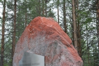 2011 271